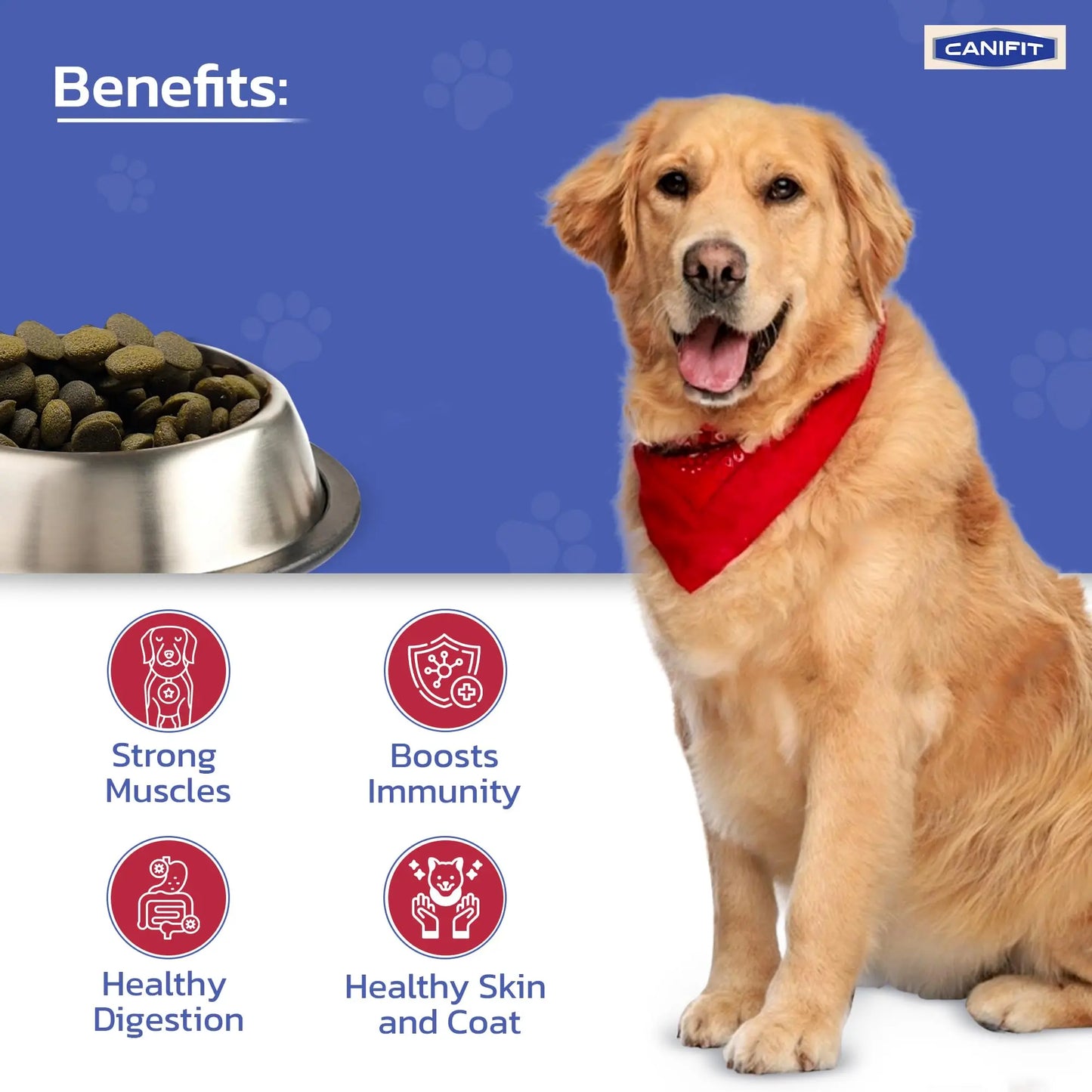 CANIFIT Adult Dog Food (Chicken & Vegetables) 3 KG- Pet Food for All Breed Sizes, Dog Dry Food, Helps in Healthy Digestion & Maintain Healthy Skin and Coat- Energy Booster for Your Dog. CANIFIT