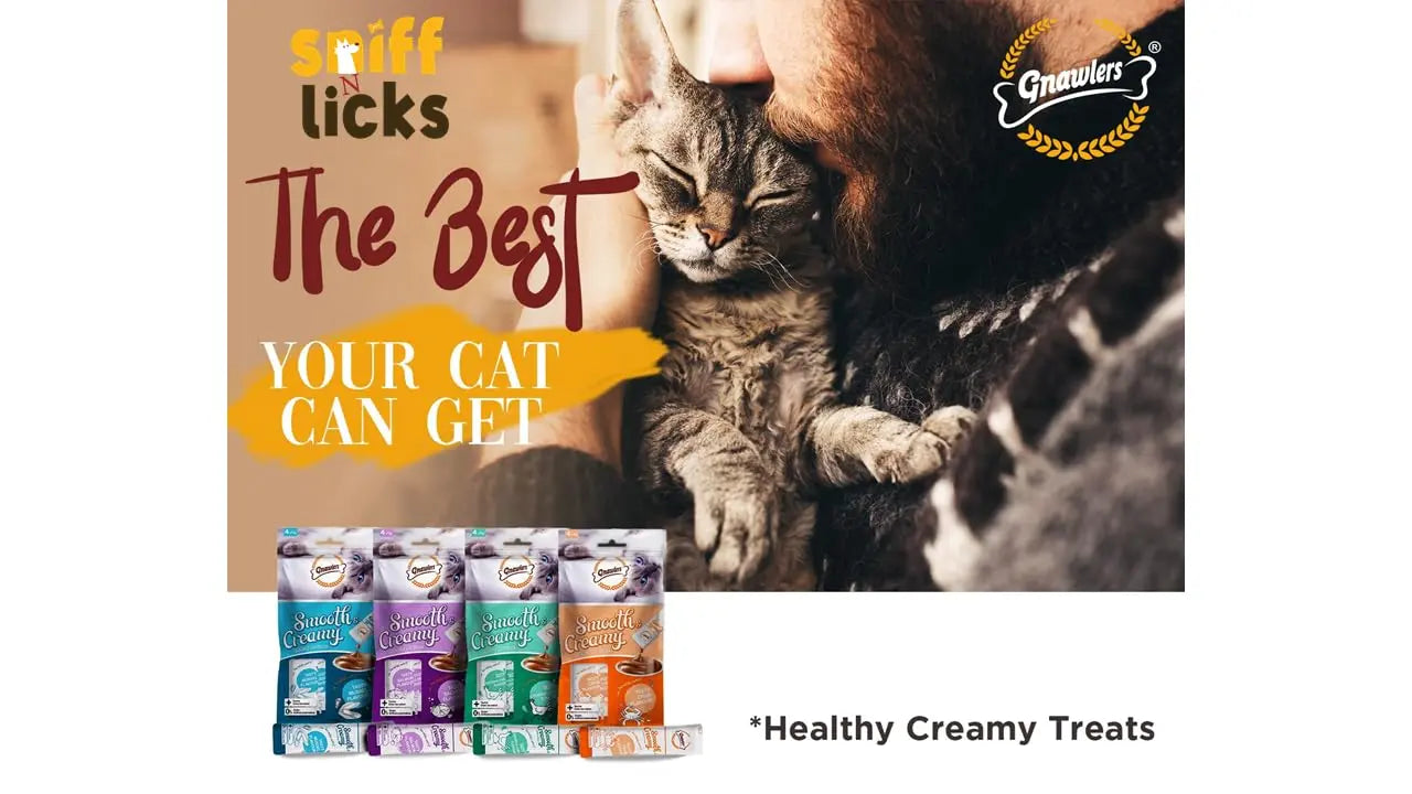 Gnawlers Lickable Wet Creamy Cat Treats with Tasty Chicken & Liver Flavour for Adult & Senior Cats, Healthy Cat Treat (Pack of 1x300g). Sold by Sniff N Licks Sniff N Licks