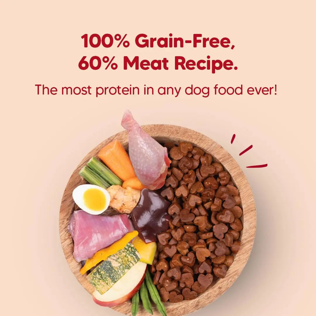 Hearty by HUFT Oven-Baked Adult Dog Dry Food - 5 kg | Grain Free | Turkey, Fish & Chicken Recipe with Superfoods | Complete & Balanced Dog Food for All Breeds Heads Up For Tails