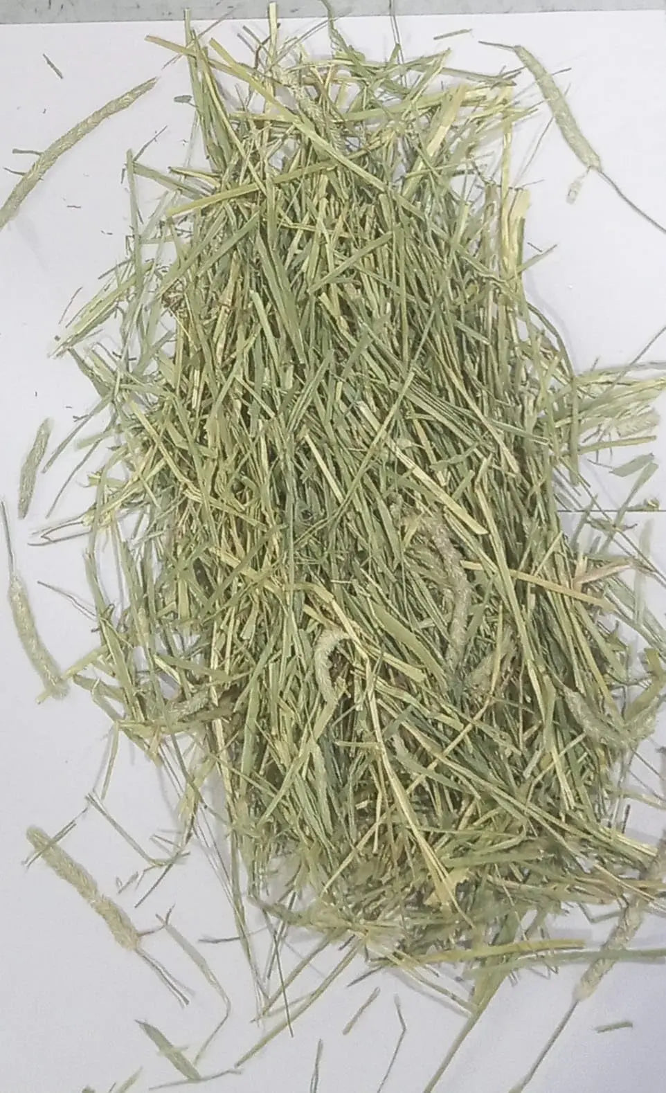 JiMMy Pet Products Timothy Hay For Rabbit Hay Guinea Pig & Hamster (400 Gm), All Life Stages JiMMy Pet Products