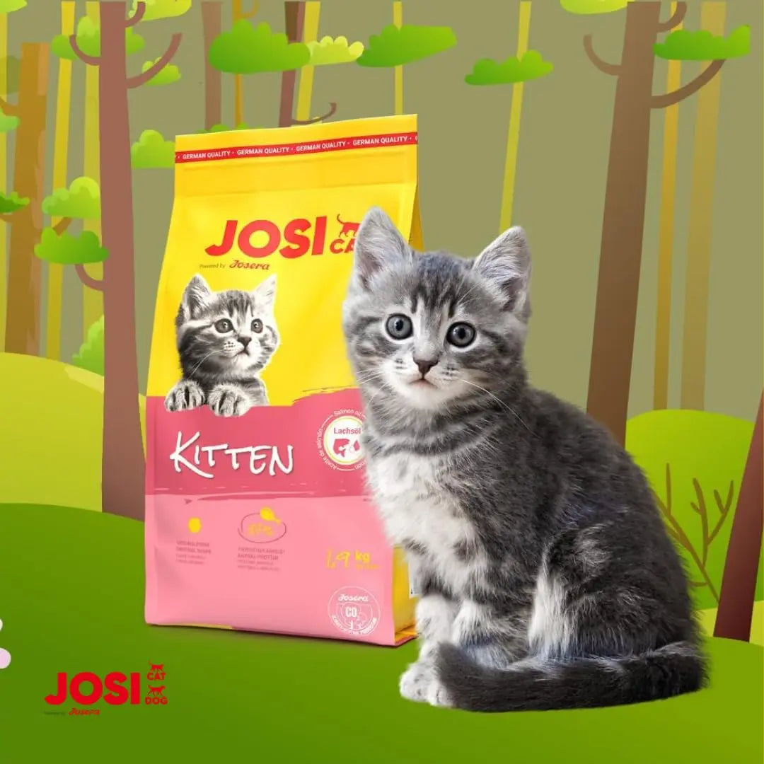 JosiCat Kitten Junior Dry Cat Food (1.9kgx1) | Powered by Josera | High Energy Kibble with Salmon Oil & Taurine for Growing & Lactating Cats | Easy to Digest Josera