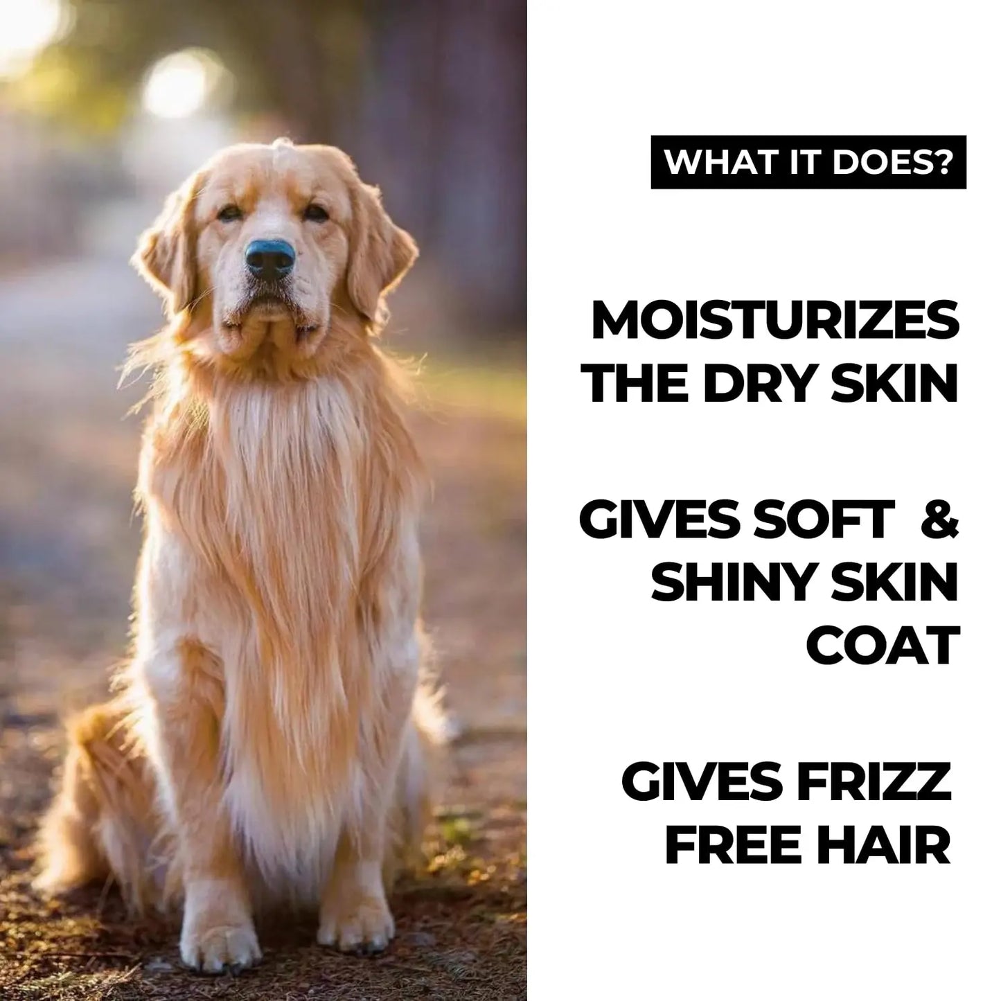 Moe Puppy Moisturizing 4-in-1 Pet Conditioner with Oatmeal, Coconut Oil, Shea Butter, Argan Oil, 120g Moe Puppy