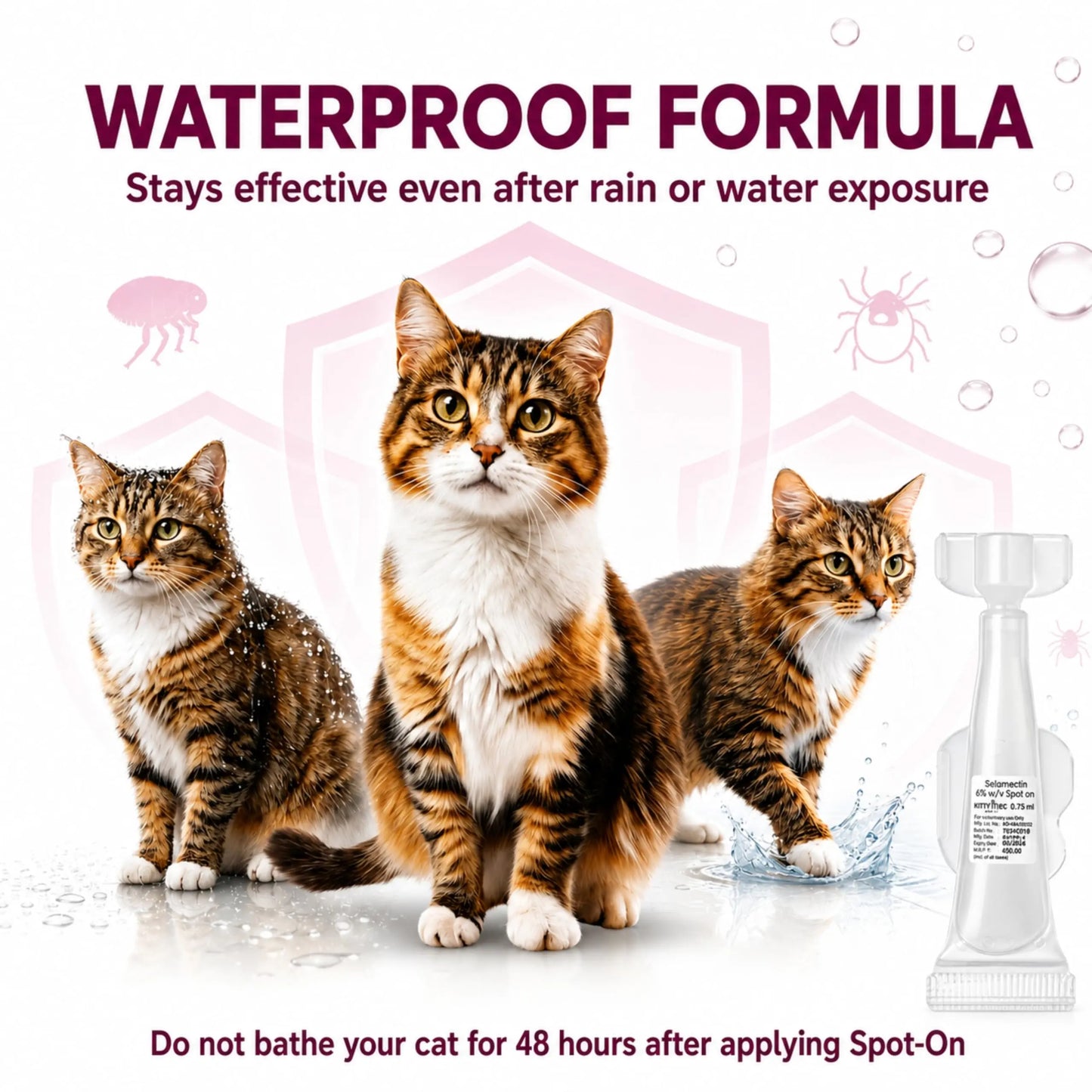 Richpet KittyMec Selamectin 6% Spot On for Cats & Kittens (5 to 7.5 kg) | Advanced Flea, Tick, Ear Mite, Hookworm & Roundworm Protection | Waterproof Formula, (1 Month Supply) Richpet