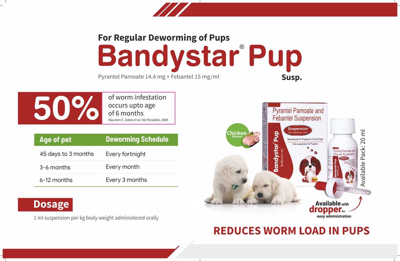 Vet Mankind Bandystar Pup Suspension - 20 ml by (Pack of 2 ) Amanpetshop