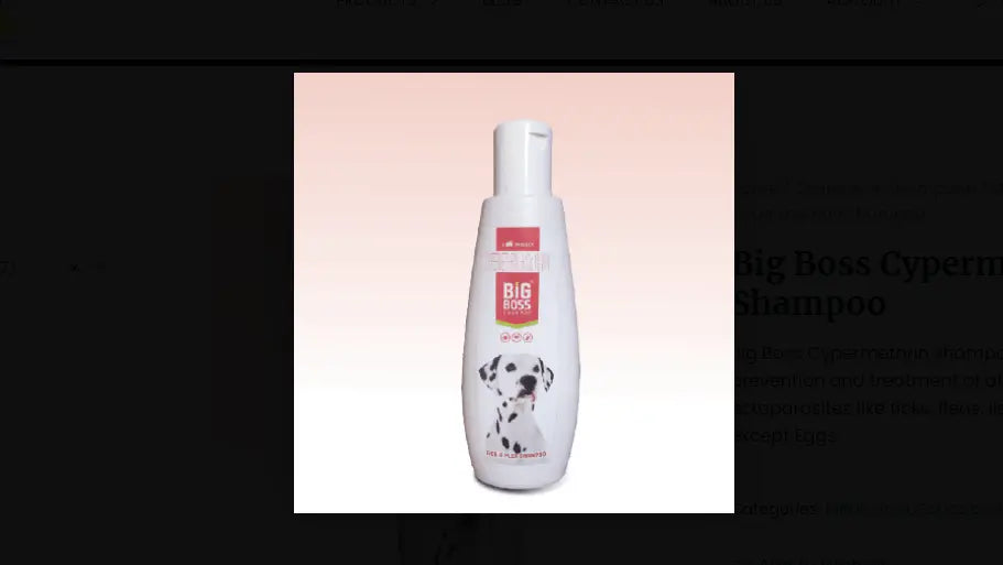 Big Boss Shampoo For Dogs 200ML By TTk Amanpetshop
