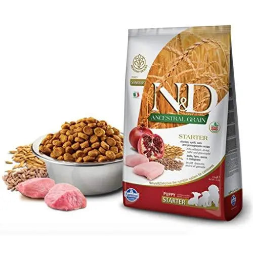 Low grain dog food best sale