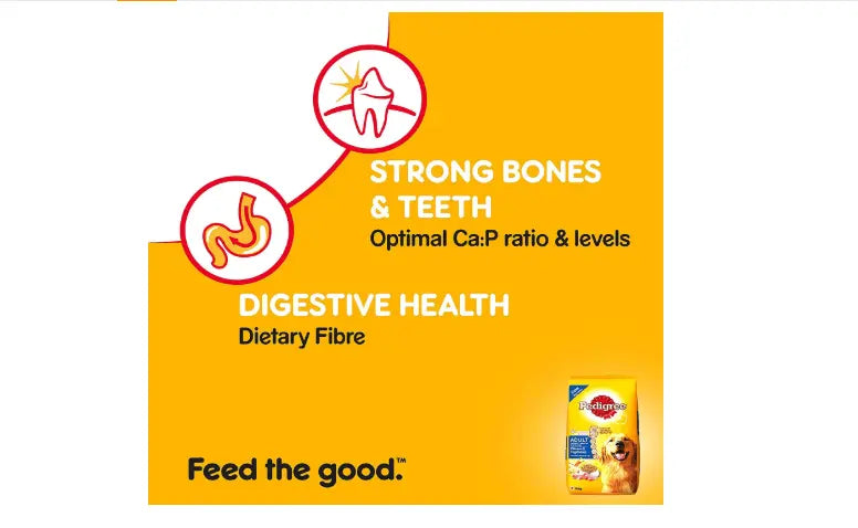 Pedigree Adult Dog Food Chicken & Vegetables, 3 kg Pack Amanpetshop-