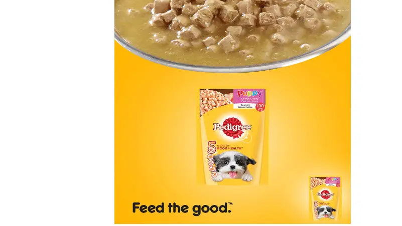 Pedigree Puppy Chicken Chunks Gravy Pouch Dog Food - 80 Gm (Pack Of 24) Chicken 2.5 kg Wet Dog Food Amanpetshop-