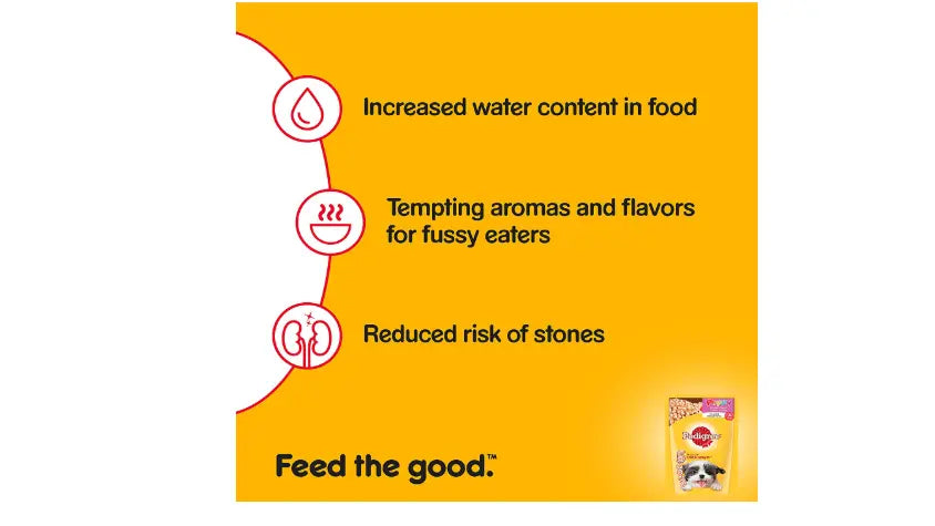 Pedigree Wet Dog Food, Chicken Chunks in Gravy for Puppy 80g (Pack of 15) Amanpetshop-