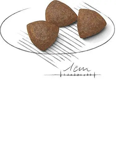 Royal Canin Medium Starter, 4 kg Royal Canin