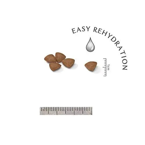 Royal Canin Mini Starter, 3kg Amanpetshop-