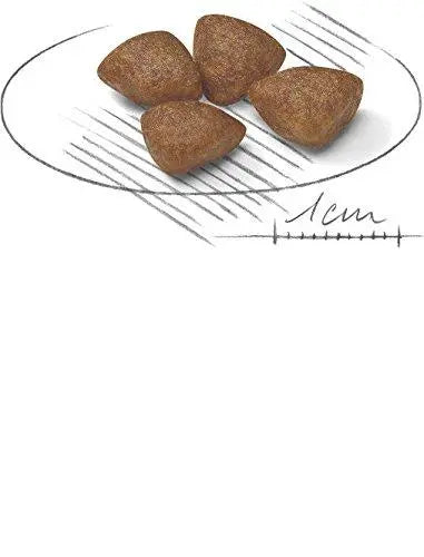 Royal Canin Mini Starter, 8.5 kg Amanpetshop