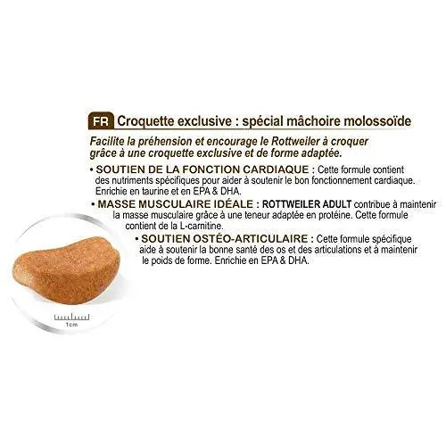 Royal Canin Rottweiler Adult, 12 Kg Amanpetshop-