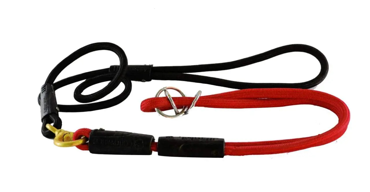 Show leash for dogs Amanpetshop