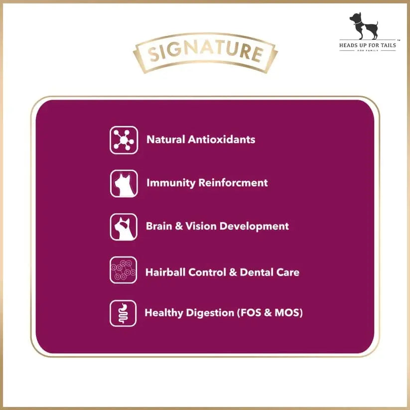 Signature Grain Zero Persian & Long Coat Cat Food - 7 kg - Ocean Fish Sardine & Mackerel Amanpetshop-