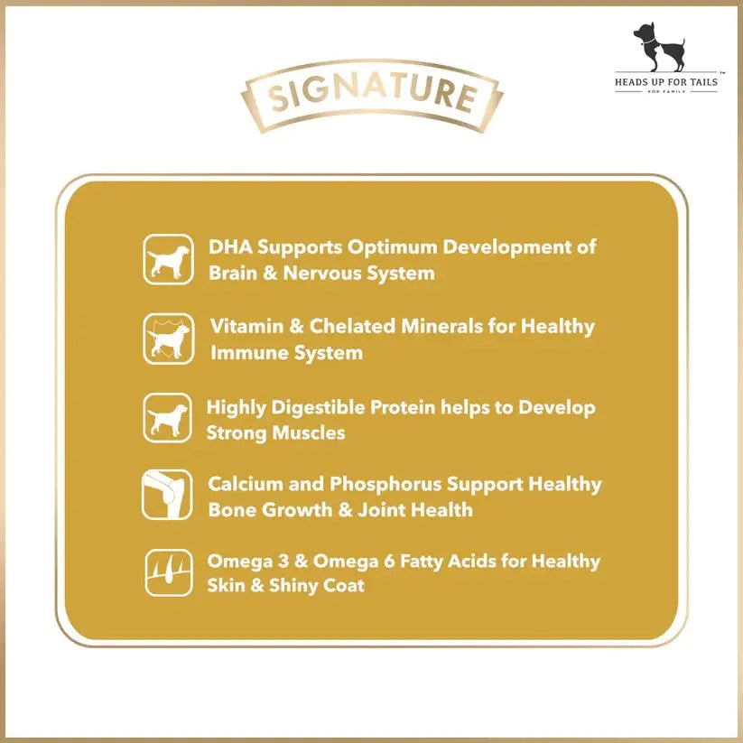 Signature Grain Zero Puppy Dog Dry Food - 1.2 kg for Dog Amanpetshop-