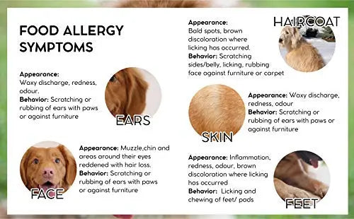 We Love Pets Vet pro Hypoallergenic Dog Food 3kg for Dogs with adverse Reactions to Food we love pets