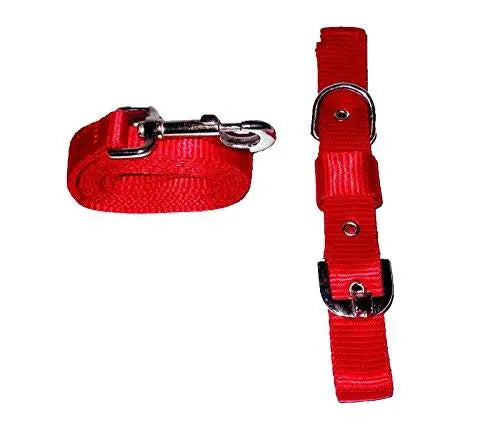 adidog Nylon Adjustable Collar & Leash Medium - 1 Inch. Colour may vary Amanpetshop