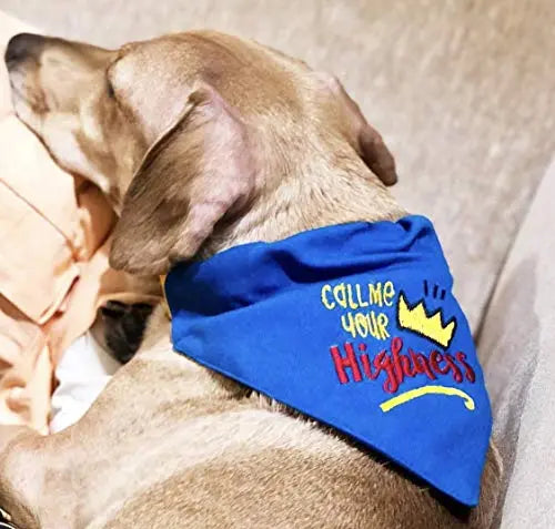 adidog Tuxedo Call me Your Highness Dog Bandana with Adjustable Collar (Blue, Medium and Large) That Dog In Tuxedo