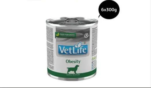 Effective-Pet-Weight-Management-5-Simple-Steps-to-Follow Amanpetshop-