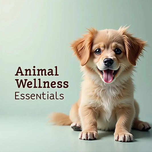 'animal Wellness Essentials' - Animal Wellness Essentials: A Simple Home Care Guide
