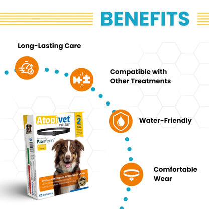 Vivaldis Atopivet Collar - Advanced Solution for Atopic Dermatitis in Dogs, Manages Itching, Hot Spots, Skin Redness, and Inflammation in Medium and Large Dogs(>10 Kg)