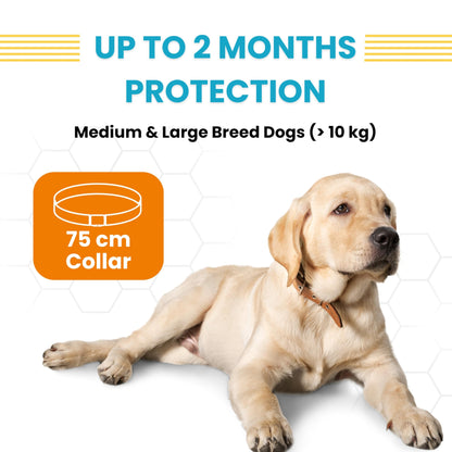 Vivaldis Atopivet Collar - Advanced Solution for Atopic Dermatitis in Dogs, Manages Itching, Hot Spots, Skin Redness, and Inflammation in Medium and Large Dogs(>10 Kg)