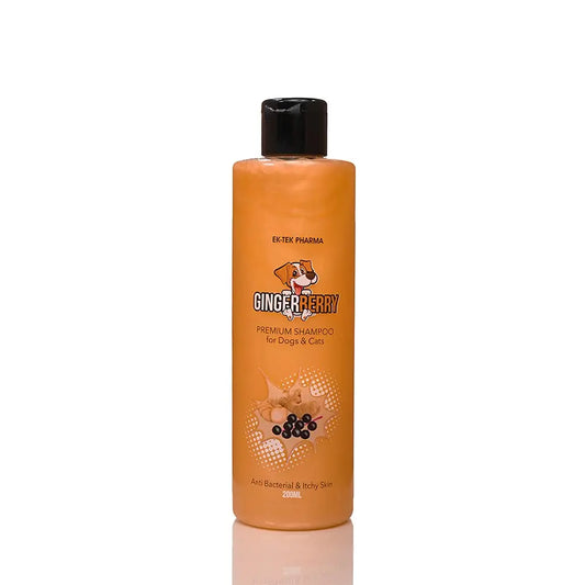 ALL4PETS Ginger Berry Dog Shampoo 200ML ALL4PETS