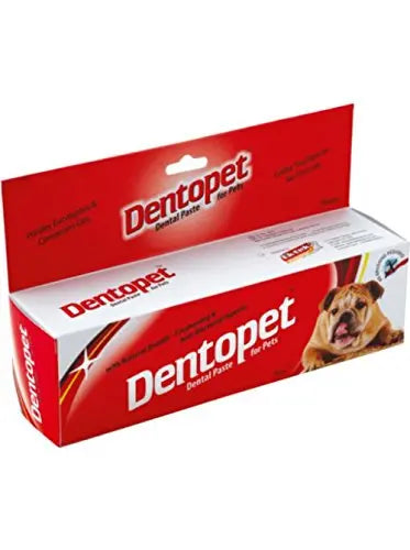 All4Pets Dentopet, Dog Toothpaste 70 Grams all4pets