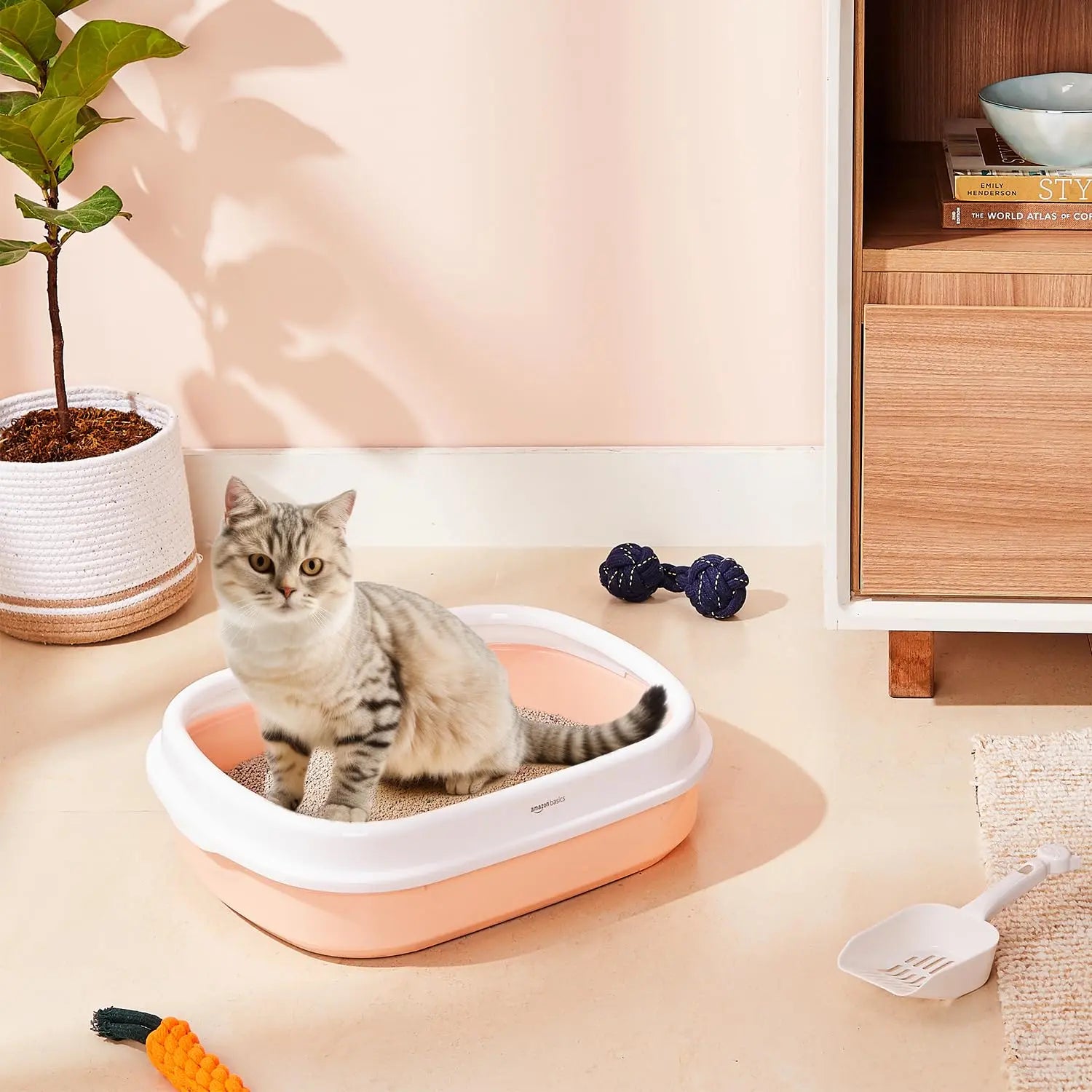 Amazon Basics Cat Litter Box Tray with Free Scooper | Semi Closed Design and Durable Quality | Suitable for All Adult Cats & Kittens, Pink amazon basics