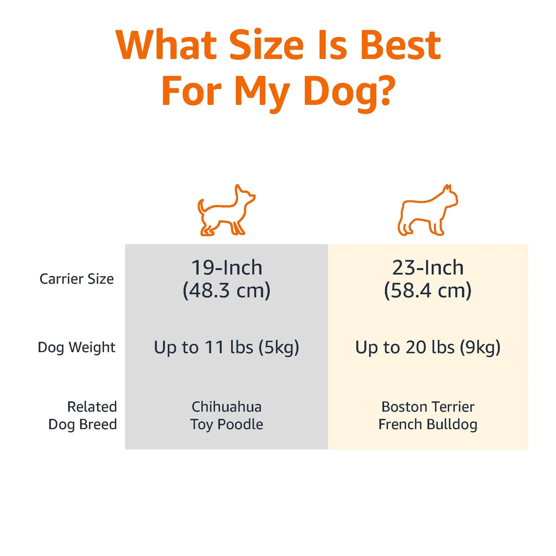 AmazonBasics Two Door Top Load Pet Carrier, Small Size |19-inch | Portable Airline Pet Carrier for Cats, Puppies and Kitten | Small amazon basics