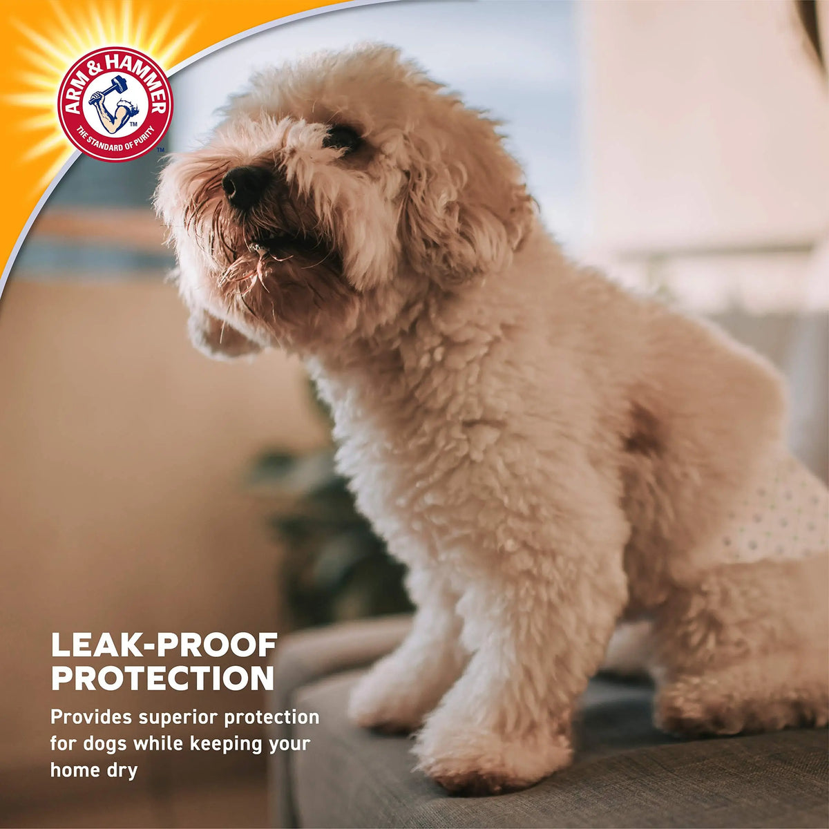 Arm & Hammer for Pets Male Dog Wraps, Size Small, 12 Count | Ultra-Absorbent, Adjustable Male Dog Diapers with Leak-Proof Protection and Wetness Indicator | Baking Soda for Odor Control ARM & HAMMER