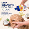 Arm & Hammer for Pets Soothing Oatmeal Pet Shampoo | Nourishing and Moisturizing Dog Shampoo with Gentle Cleansing Formula | Vanilla Coconut Scent, 20 oz Bottle Shampoo for Pets ARM & HAMMER