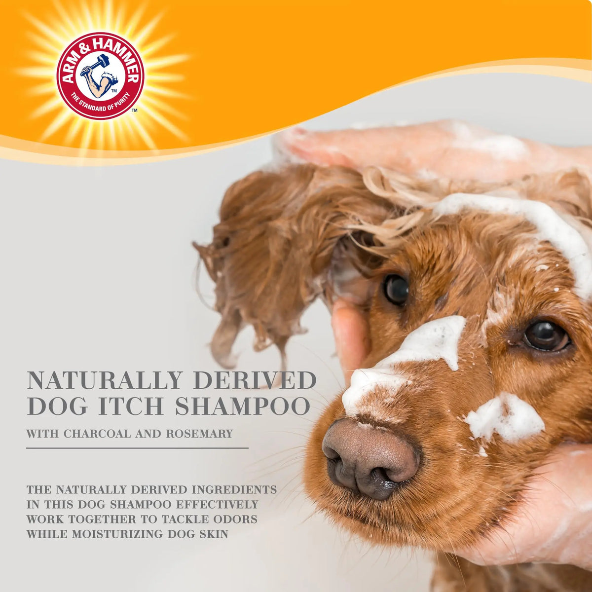 Arm & Hammer for Pets Ultra Fresh Deep Cleansing Dog Shampoo with Charcoal & Rosemary, Value Size 24oz | Great Smelling Pet Grooming and Bathing Supplies, Puppy Wash Arm & Hammer