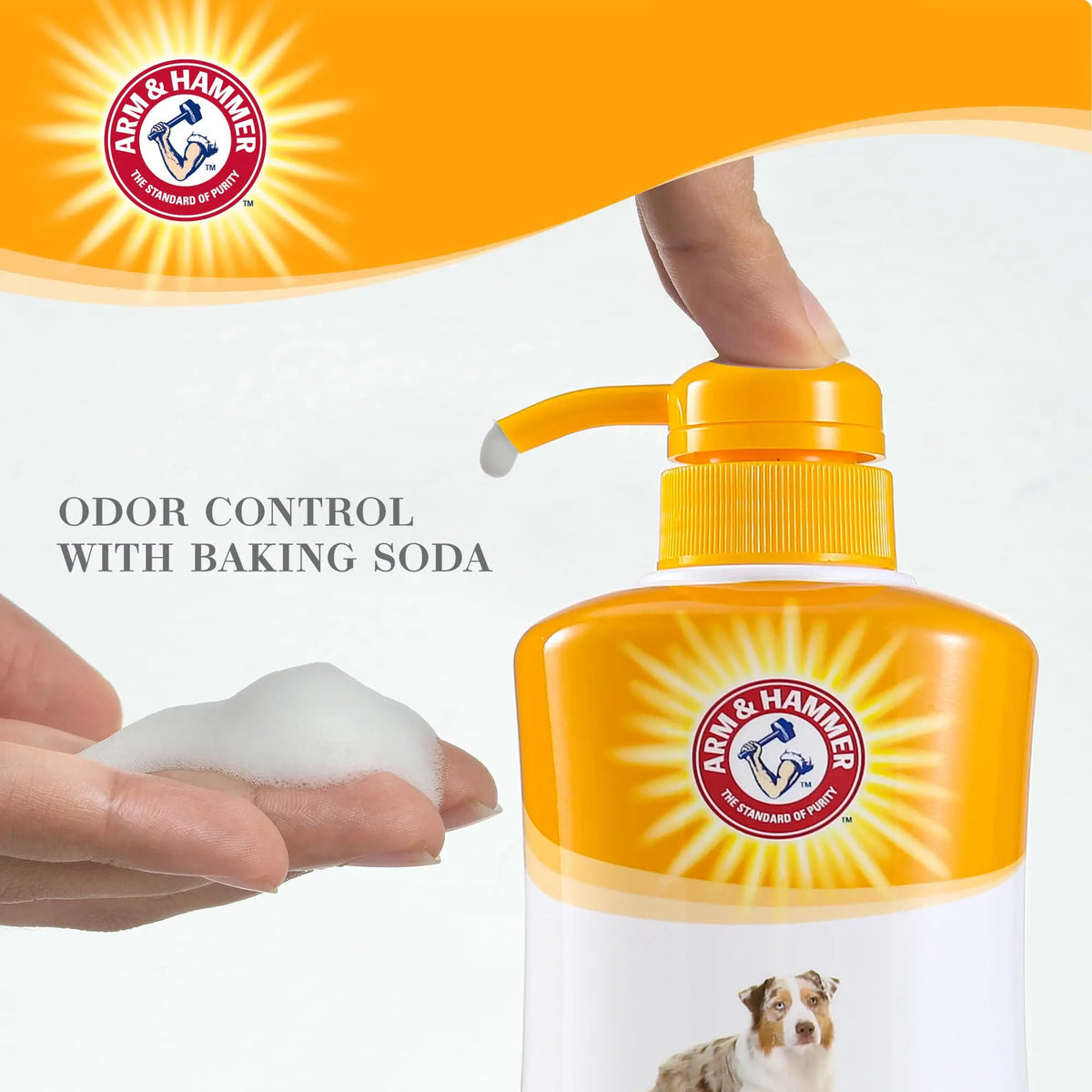 Arm & Hammer for Pets Ultra Fresh Deep Cleansing Dog Shampoo with Charcoal & Rosemary, Value Size 24oz | Great Smelling Pet Grooming and Bathing Supplies, Puppy Wash Arm & Hammer