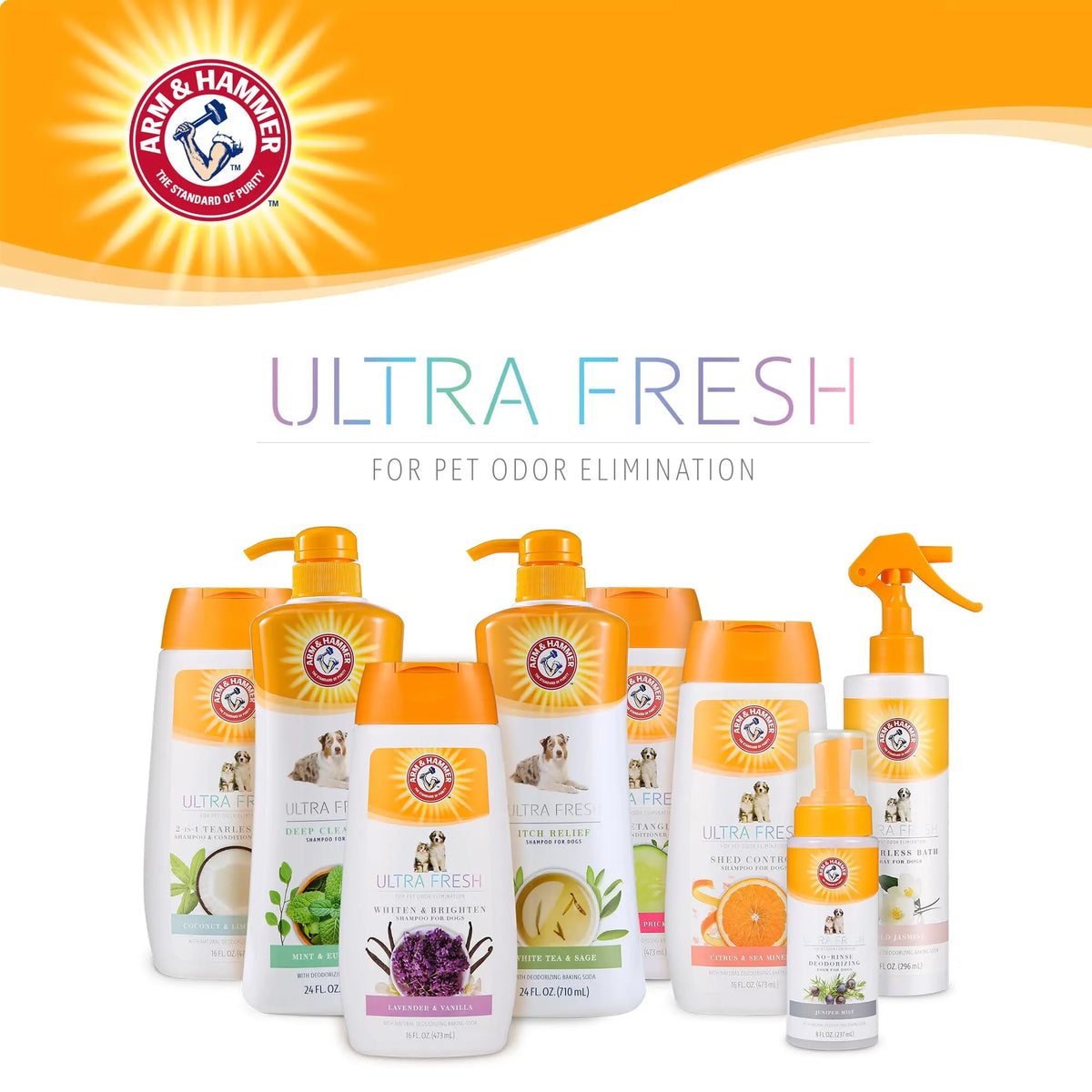 Arm & Hammer for Pets Ultra Fresh Deep Cleansing Dog Shampoo with Charcoal & Rosemary, Value Size 24oz | Great Smelling Pet Grooming and Bathing Supplies, Puppy Wash Arm & Hammer