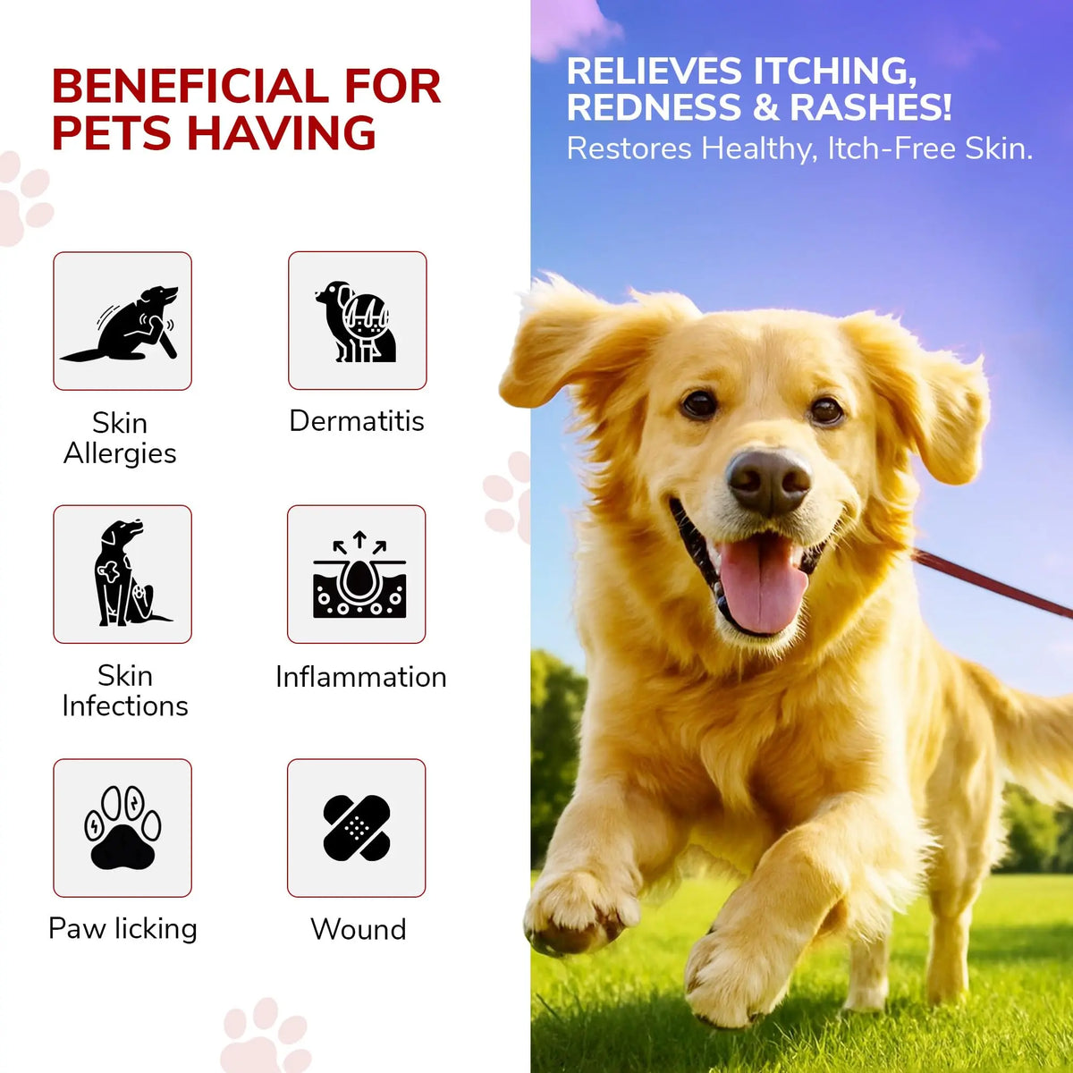Bakson Veterinary Derm Aid Pet Skin Drop for Animals 30ML | Dogs & Cats Skin Infection Treatment & Allergy Relief | Itching, Redness, Hotspots, Fungal & Yeast Infection Care | Veterinary Medicine BAKSON VETERINARY