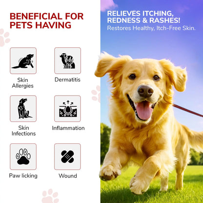 Bakson Veterinary Derm Aid Pet Skin Drop for Animals 30ML | Dogs & Cats Skin Infection Treatment & Allergy Relief | Itching, Redness, Hotspots, Fungal & Yeast Infection Care | Veterinary Medicine BAKSON VETERINARY