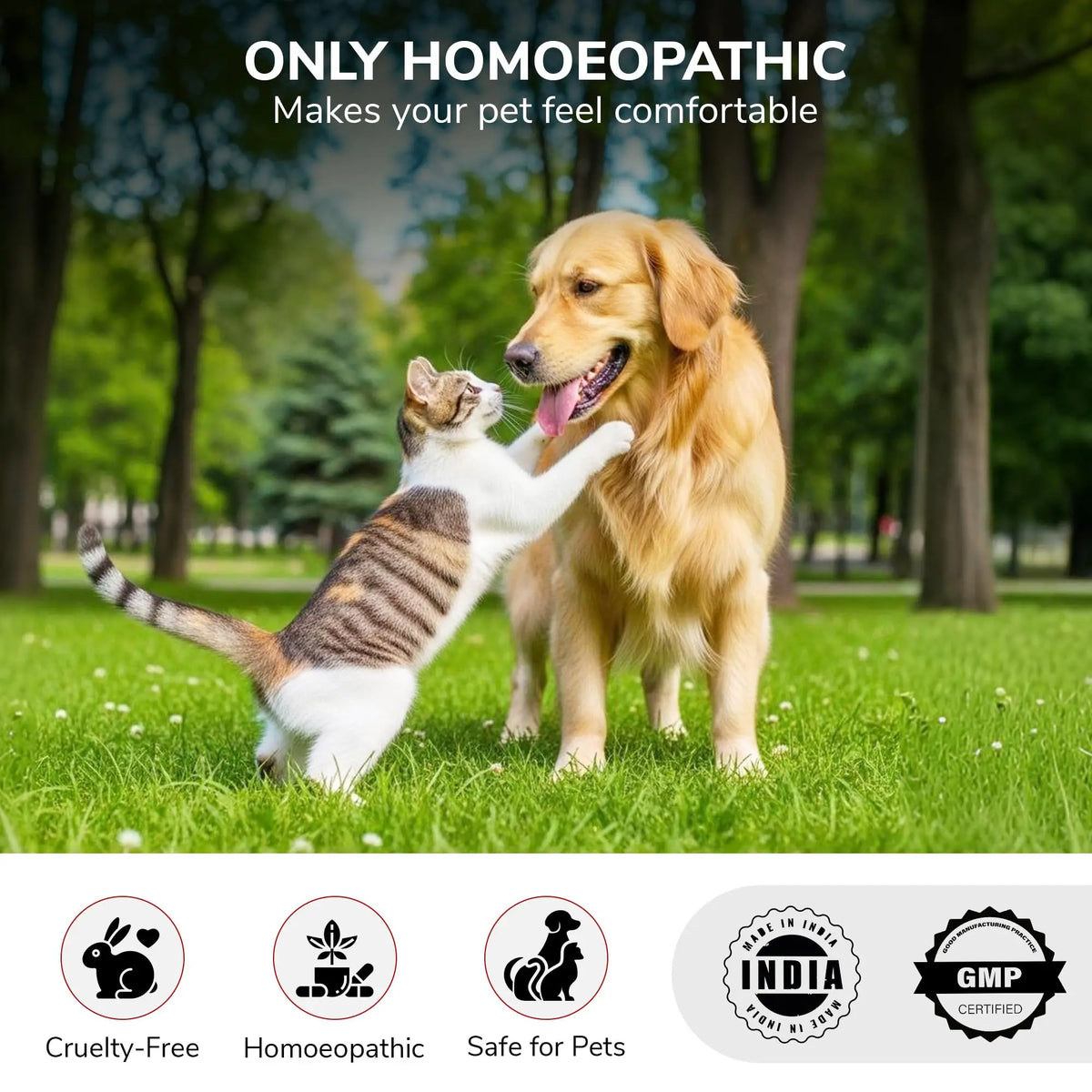 Bakson Veterinary Derm Aid Pet Skin Drop for Animals 30ML | Dogs & Cats Skin Infection Treatment & Allergy Relief | Itching, Redness, Hotspots, Fungal & Yeast Infection Care | Veterinary Medicine BAKSON VETERINARY