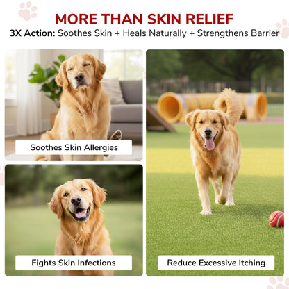 Bakson Veterinary Derm Aid Pet Skin Drop for Animals 30ML | Dogs & Cats Skin Infection Treatment & Allergy Relief | Itching, Redness, Hotspots, Fungal & Yeast Infection Care | Veterinary Medicine BAKSON VETERINARY