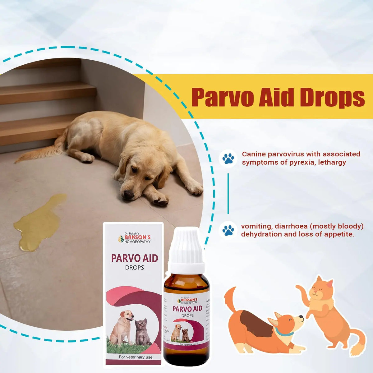 Bakson Veterinary Parvo Aid Drops for Pets – 30ML | Natural Parvo Medicine Dogs | Supports Cat Parvo Virus Symptoms, Recovery & Immunity | Safe Homeopathic Care Alternative to Harsh Parvo Medicine BAKSON VETERINARY
