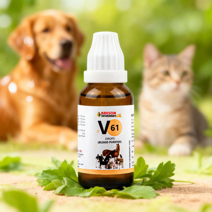Bakson Veterinary V61 Blood Purifier Drops 30ML | Homeopathic Blood Cleanser for Pets, Dogs & Cats | Supports Clear Skin, Allergy Relief, Immunity, Vitality & Lymphatic Health BAKSON VETERINARY