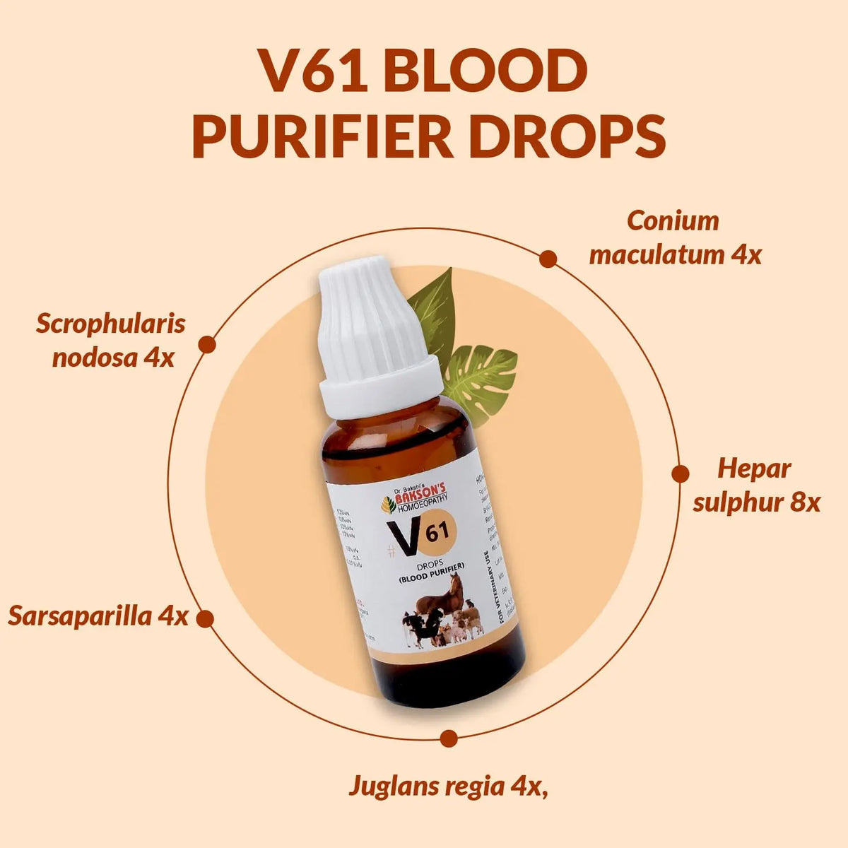 Bakson Veterinary V61 Blood Purifier Drops 30ML | Homeopathic Blood Cleanser for Pets, Dogs & Cats | Supports Clear Skin, Allergy Relief, Immunity, Vitality & Lymphatic Health BAKSON VETERINARY
