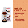 Bakson Veterinary V61 Blood Purifier Drops 30ML | Homeopathic Blood Cleanser for Pets, Dogs & Cats | Supports Clear Skin, Allergy Relief, Immunity, Vitality & Lymphatic Health BAKSON VETERINARY