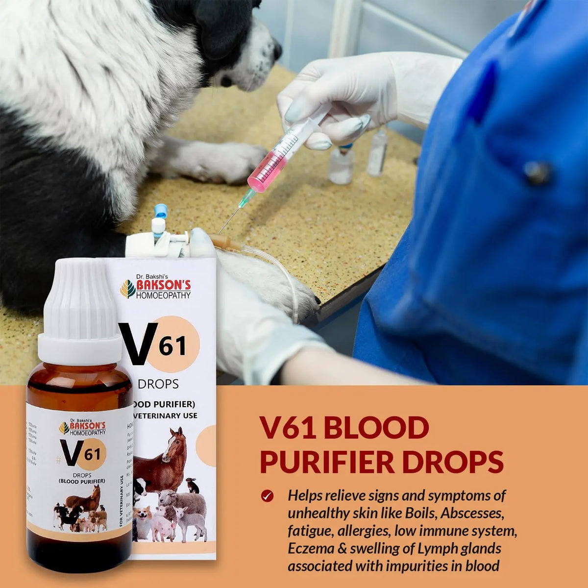 Bakson Veterinary V61 Blood Purifier Drops 30ML | Homeopathic Blood Cleanser for Pets, Dogs & Cats | Supports Clear Skin, Allergy Relief, Immunity, Vitality & Lymphatic Health BAKSON VETERINARY