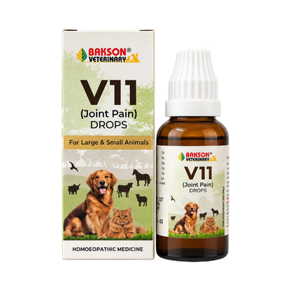 Bakson Veterinary | V-11 (Rheumatisum Drops) | 30 ML | Pet Veterinary Medicine for Animals | Pet Joint Supplement, Arthritis Medicine for Pets, Calcium for Dog & Cats | Pain Relief BAKSON VETERINARY