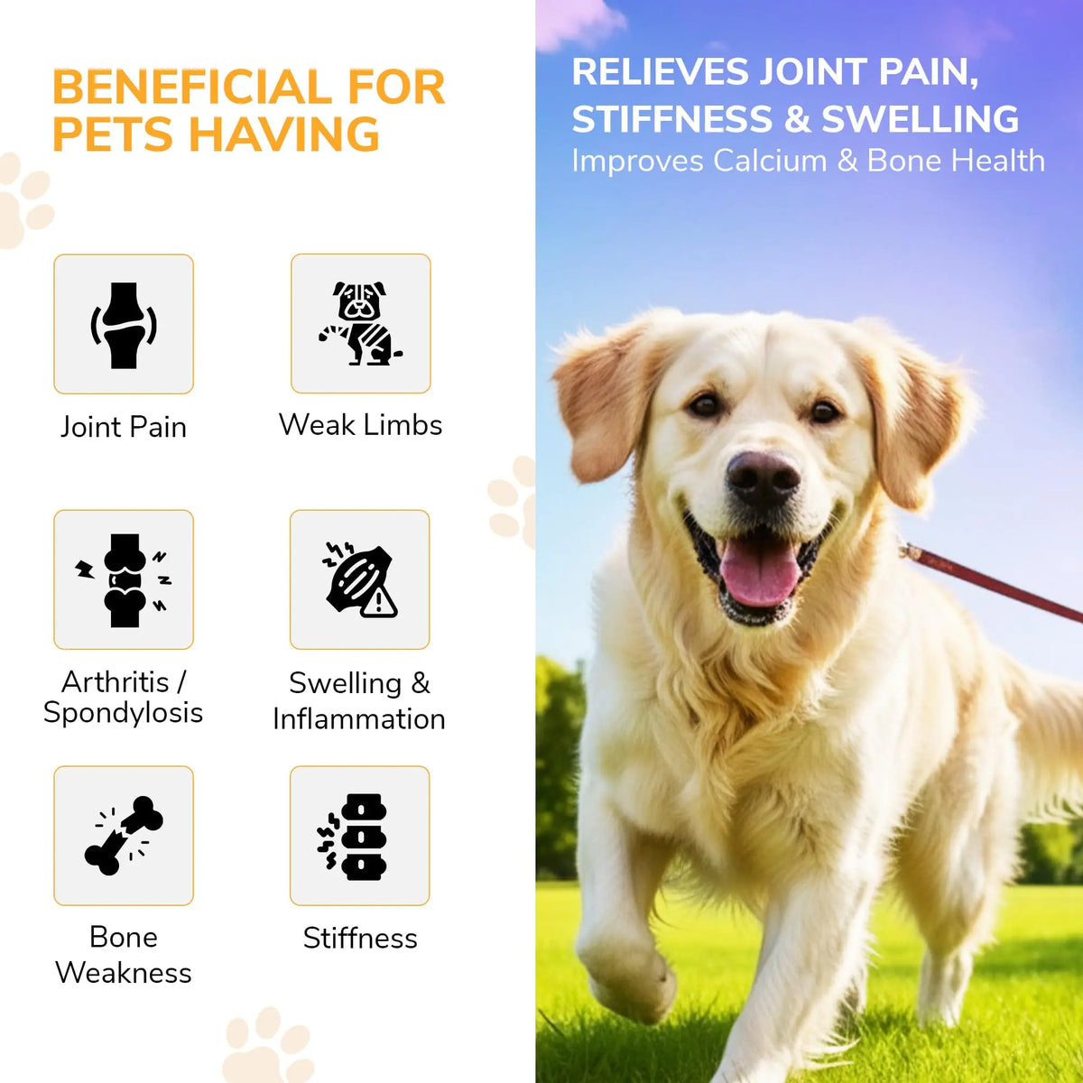 Bakson Veterinary | V-11 (Rheumatisum Drops) | 30 ML | Pet Veterinary Medicine for Animals | Pet Joint Supplement, Arthritis Medicine for Pets, Calcium for Dog & Cats | Pain Relief BAKSON VETERINARY