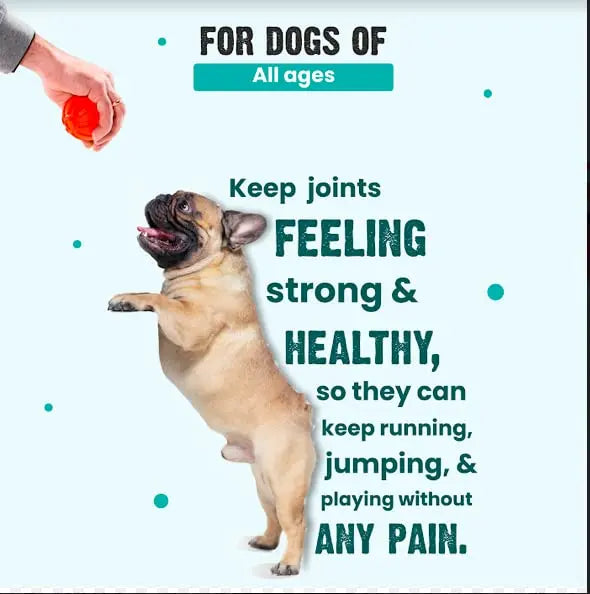 Bark Out Loud by Vivaldis - Hip & Joint Supplement for Dogs| Contains Pure Chondroitin, Vitamin E & Magnesium | Pet Health Supplements (10 Tablets) BARK OUT LOUD