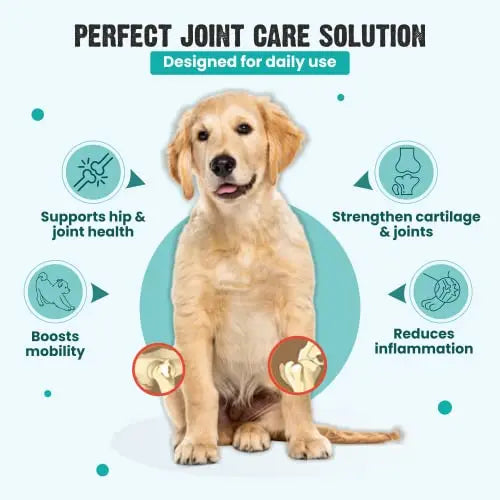 Bark Out Loud by Vivaldis - Hip & Joint Supplement for Dogs| Contains Pure Chondroitin, Vitamin E & Magnesium | Pet Health Supplements (10 Tablets) BARK OUT LOUD