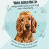 Bark Out Loud by Vivaldis - Mini Fishes (Salmon)| No Grain & Hypoallergenic Spanish Treats for Dogs- 100gms BARK OUT LOUD